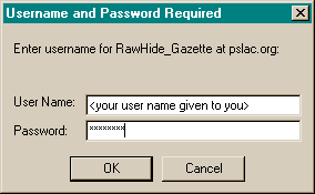Password Window
